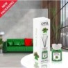 Mint & Pine Reed Diffuser - 120 ml